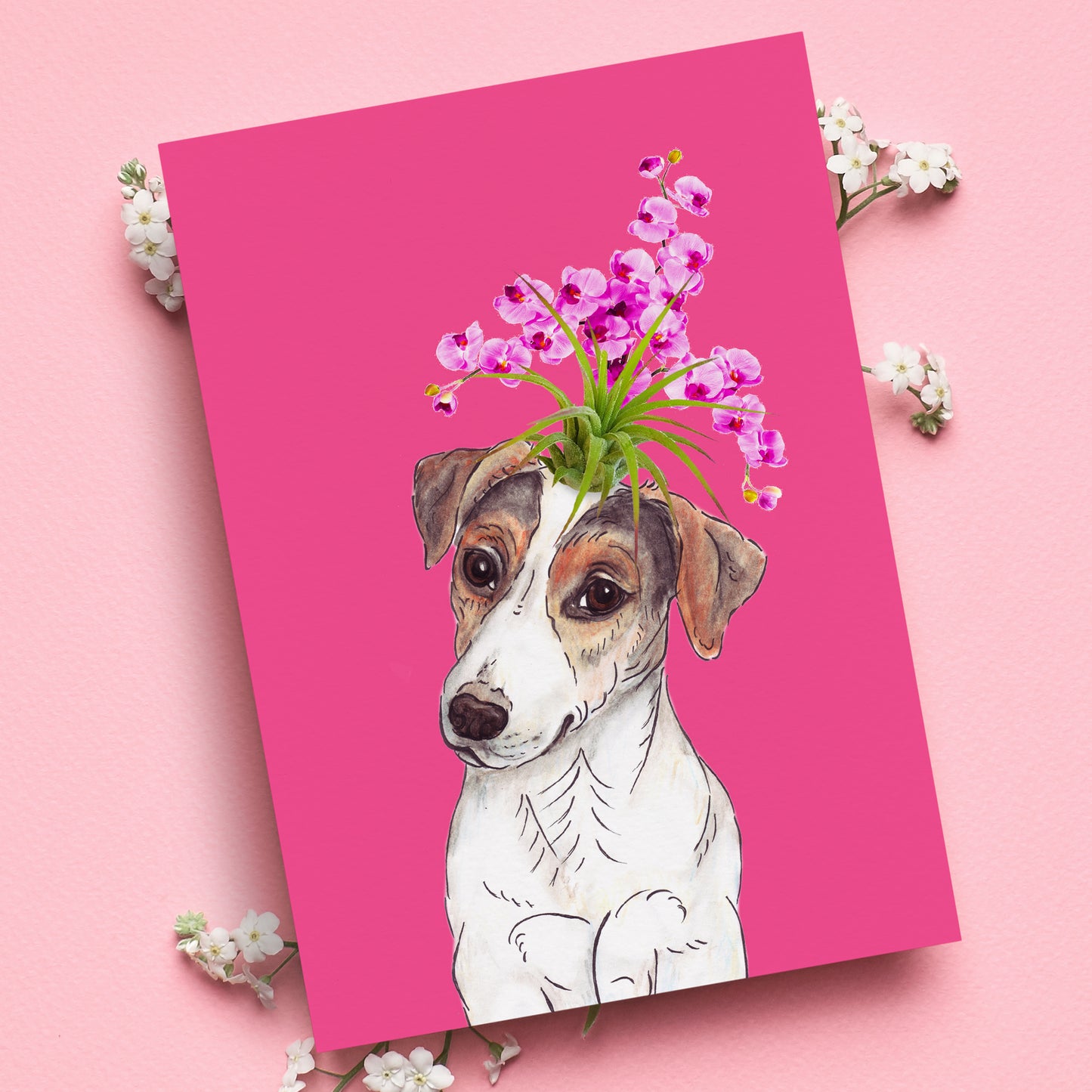 RUSSELL TERRIER