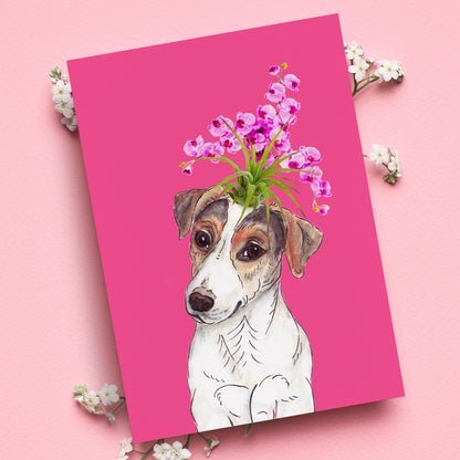 RUSSELL TERRIER